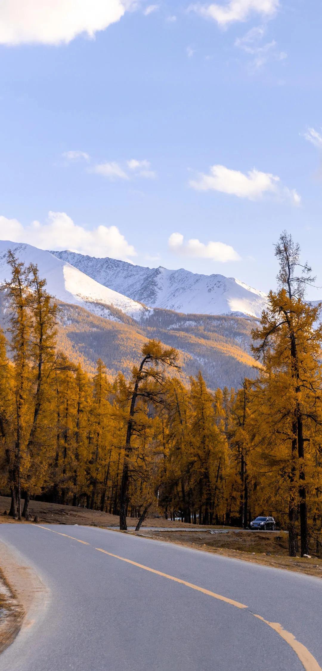 新疆，嘉賓云集，觀眾熱情如火