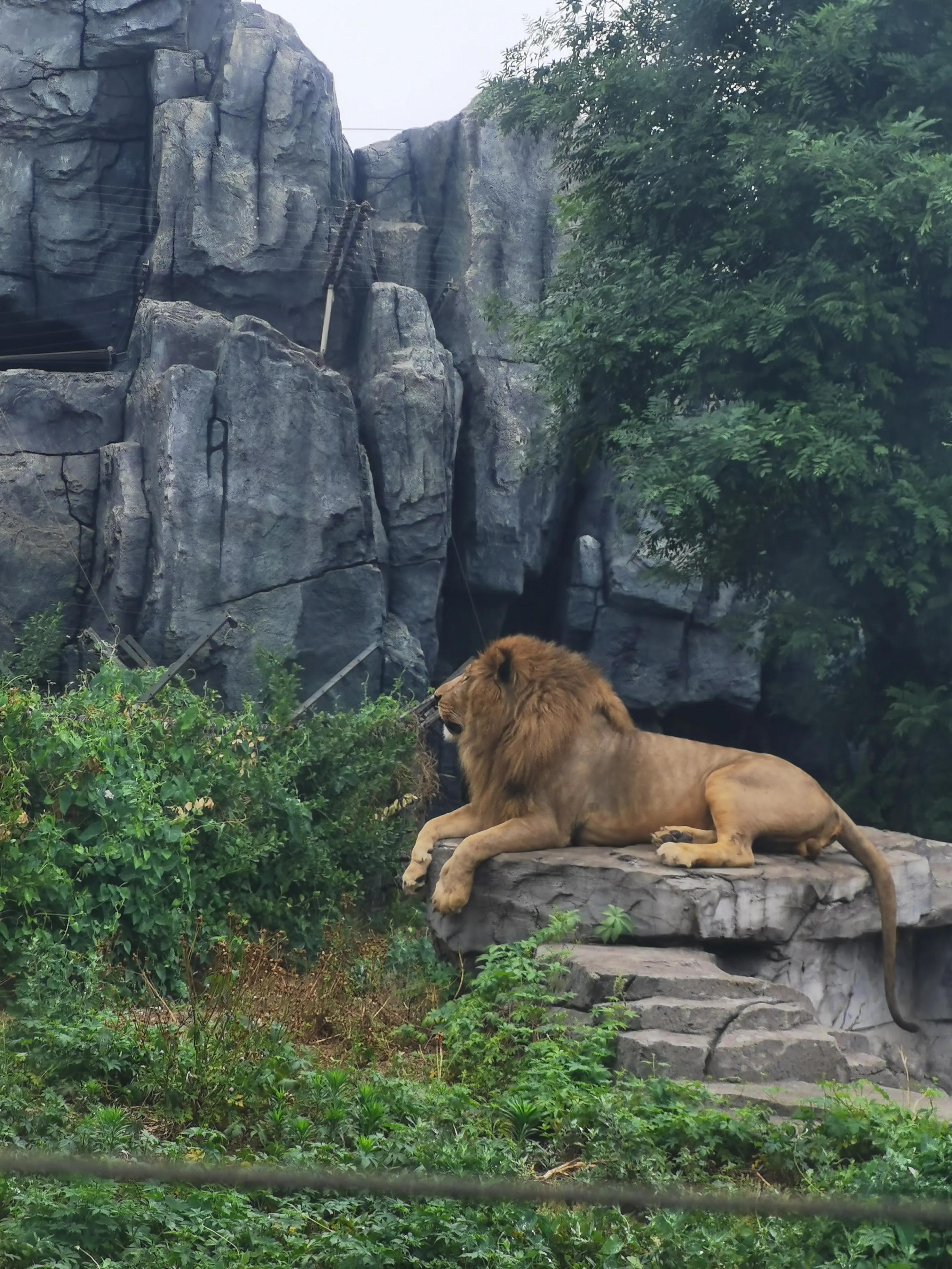 唐山的多元風(fēng)貌與深度解讀